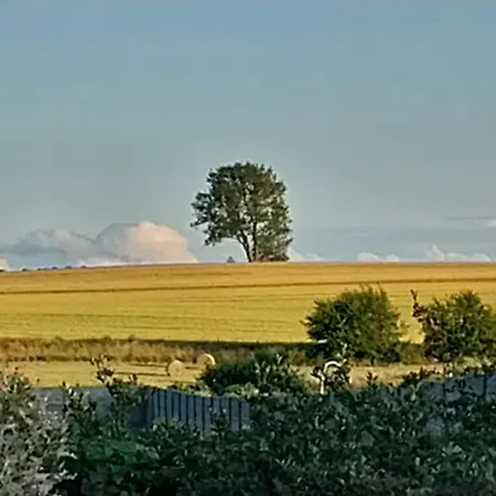 ゲストハウス Goscinne ,, Na Poziomie