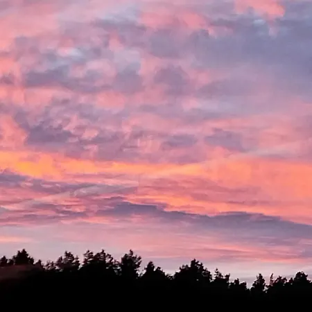 Goscinne ,, Na Poziomie